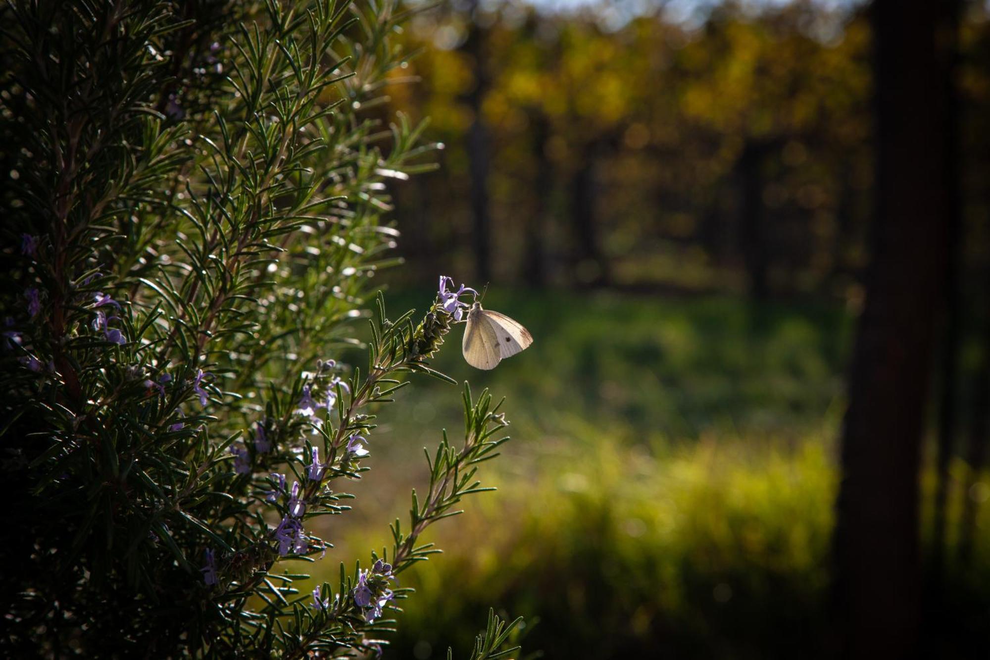 Le Stanze Di Bacco Villa Monteveglio Bagian luar foto