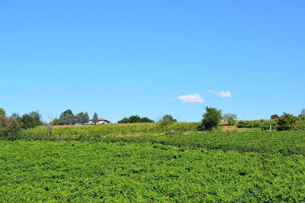 Le Stanze Di Bacco Villa Monteveglio Bagian luar foto