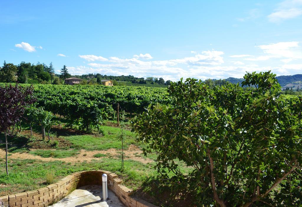 Le Stanze Di Bacco Villa Monteveglio Bagian luar foto