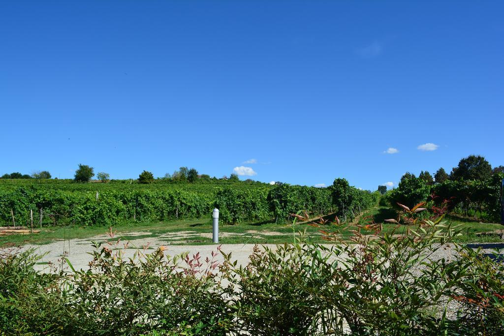 Le Stanze Di Bacco Villa Monteveglio Bagian luar foto