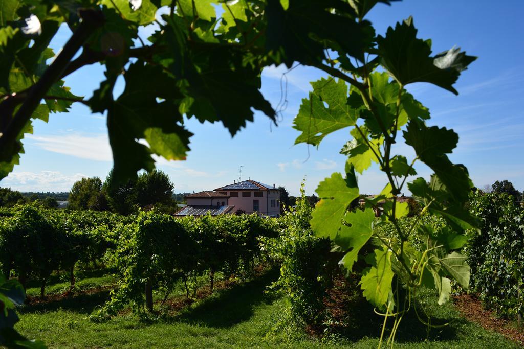 Le Stanze Di Bacco Villa Monteveglio Bagian luar foto