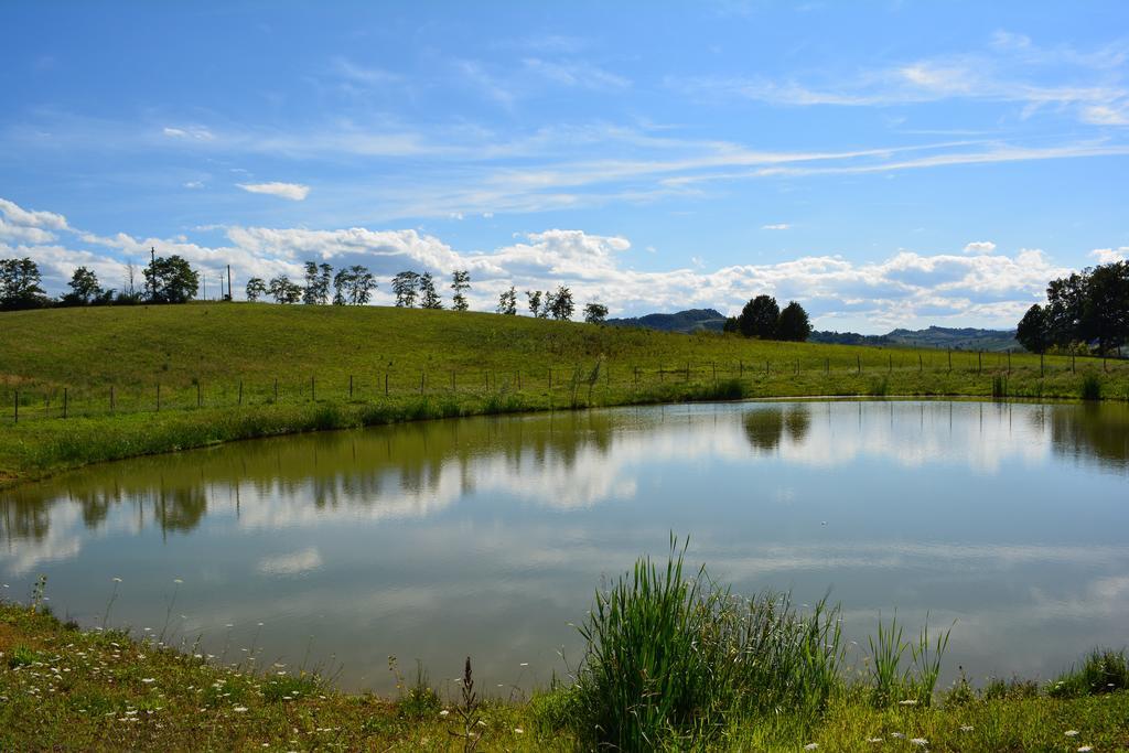 Le Stanze Di Bacco Villa Monteveglio Bagian luar foto