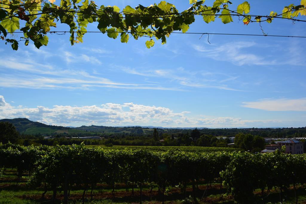 Le Stanze Di Bacco Villa Monteveglio Bagian luar foto