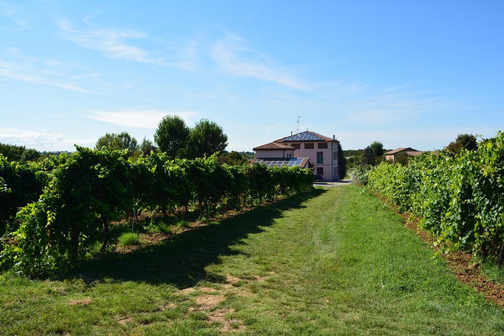 Le Stanze Di Bacco Villa Monteveglio Bagian luar foto